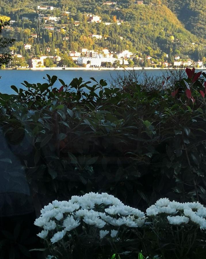 B&B Le Farfalle San Felice del Benaco Kültér fotó